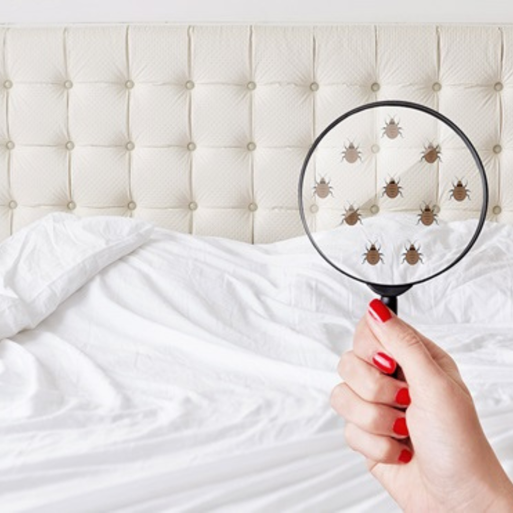 La limpieza que transforma tu descanso